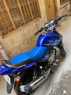 Yamaha YBR G 125 Lush Condition