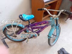 Camery Bicycle