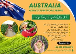 Australia Work Visa in Lahore - Australia Agriculture Visa Available