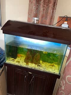 aquarium bestest quality meh hai urgent sell krna hai