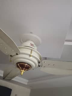 pak Fan AC Dc