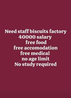 need staff biscuit factory job available in Lahore