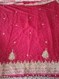 bridal lehenga n the blood red dupatta