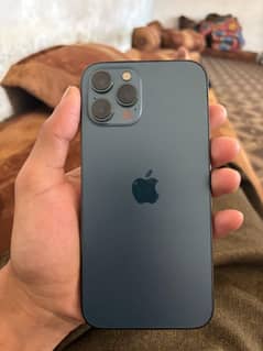 Iphone 12pro max