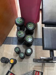 Bench dumbbells for sale