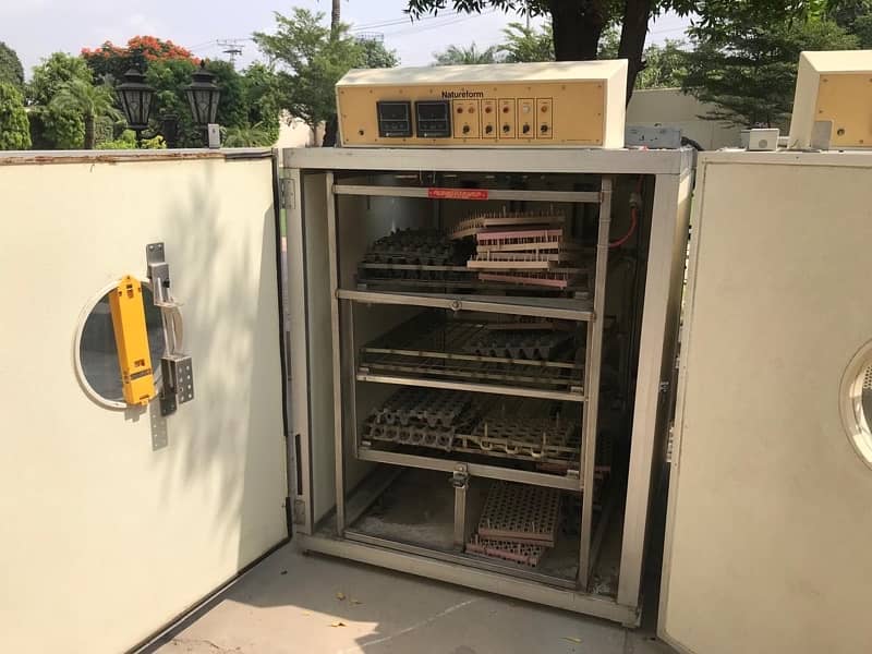 NatureForm Egg Incubator for Sale – Ideal for Game Birds & Poultry 2