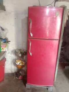 Singer refrigerator double door xl large size