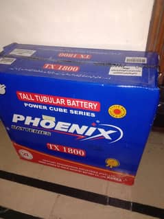 phoenix TX1800 tubular battery