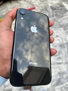 iphone XR pta