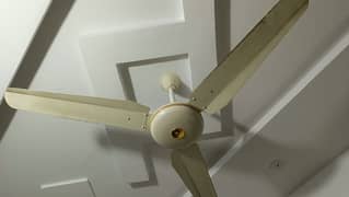 Sufi ceiling fan pure copper 1 year warranty