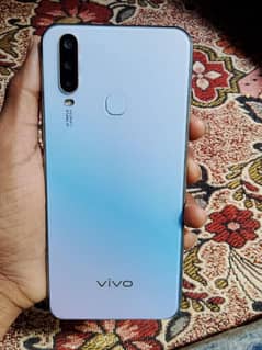 Vivo