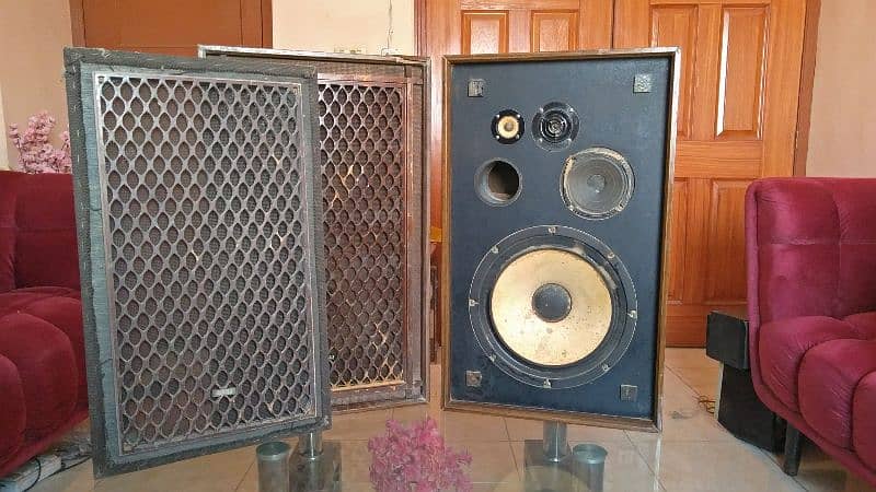 Vintage Akai speaker 12 inches size 1