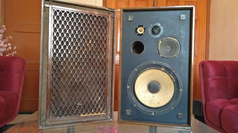 Vintage Akai speaker 12 inches size 6