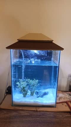 Aquarium for sell