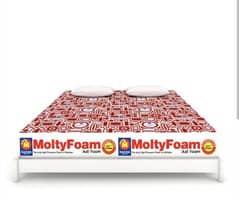 Molty Foam 6 inch