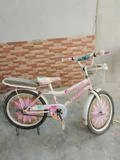 beautiful girl Cycle