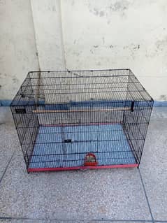 Birds Cage