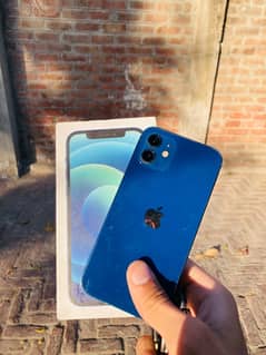 iphone 12 128 gb FU Non PTA