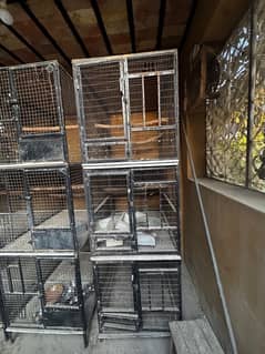 parrot cage