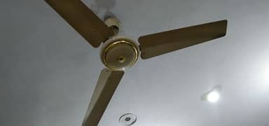 ceiling fans