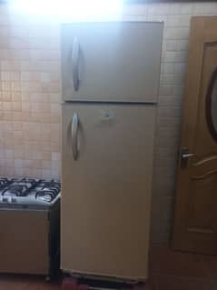 fridge and freezer