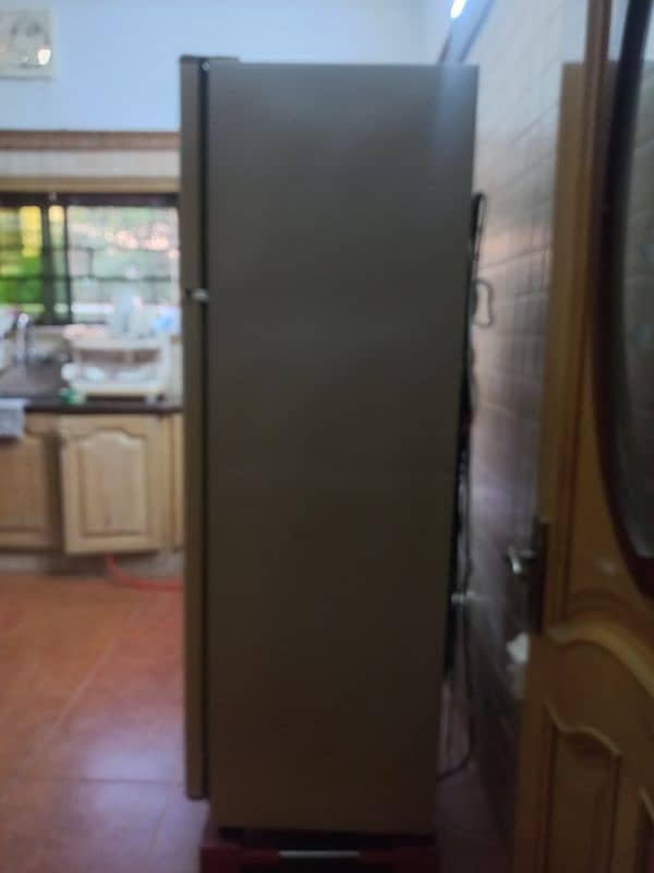 fridge and freezer 1