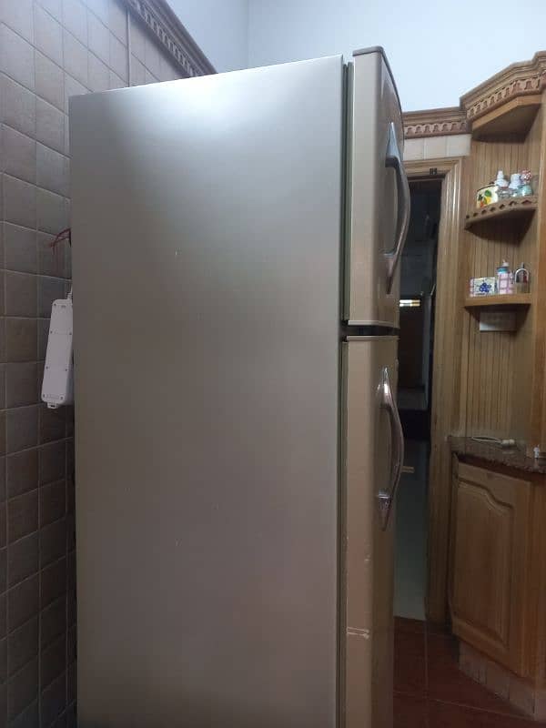 fridge and freezer 2