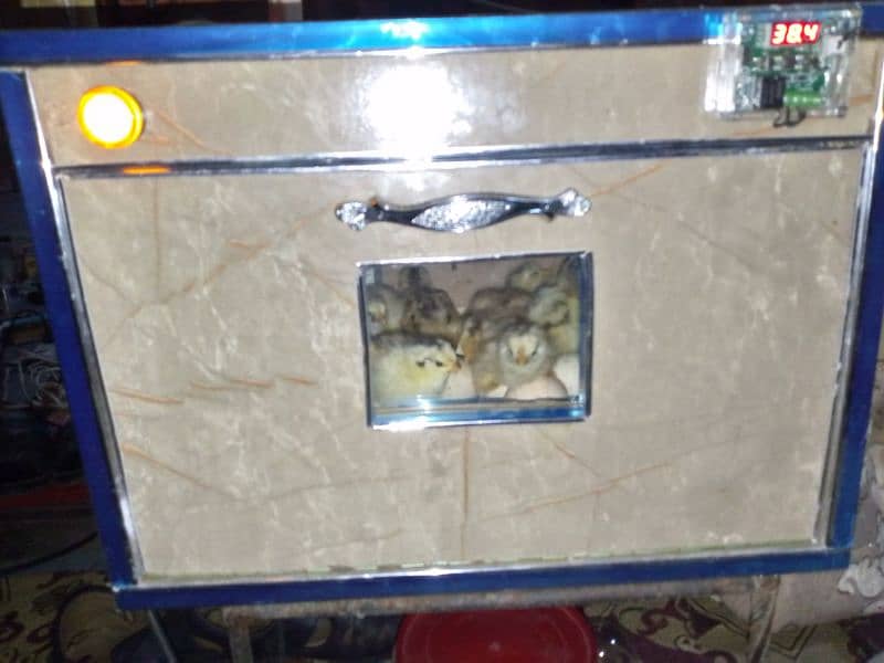 30 50 60 100eggs semi automatic incubator for sale 95 percent result 6