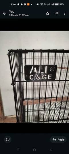 Birds Cage