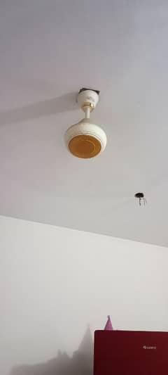 AC ceiling fans for sale