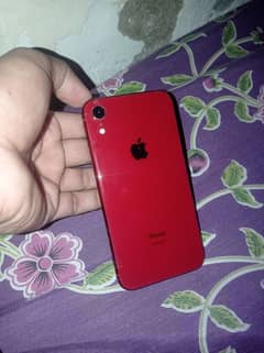 IPHONE XR 64GB