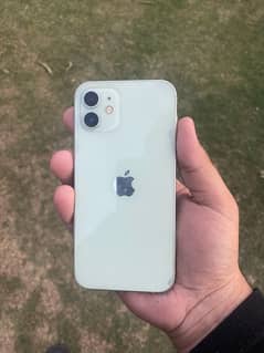 Iphone 12 ( 64 gb )