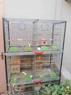 birds cage for sale