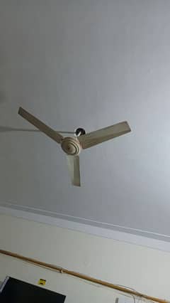 ceiling fan for sale