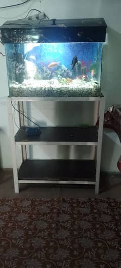 Complete setup of Aquarium For Sale