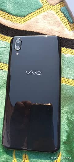 vivo