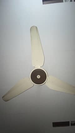 fan for sale