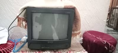 television