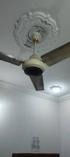 Ceiling Fan (2)