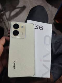 Vivo