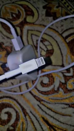 Iphone Original Charger