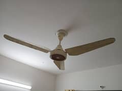 Orient Ceiling Fan For Sale