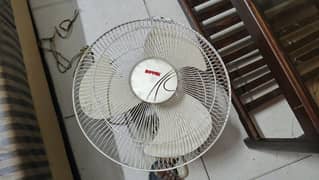 Royal Bracket fan