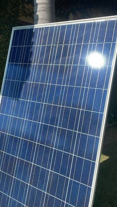 For Sale: Used Talesun 300W Solar Panels x 4 panels