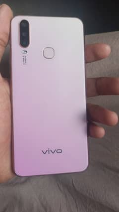 VIVO