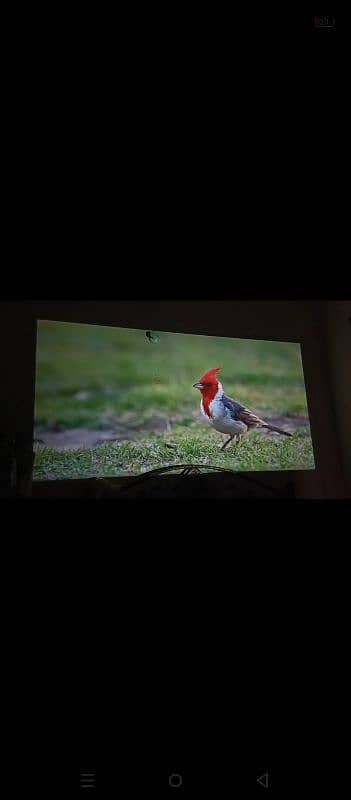 HY300 Android projector 4
