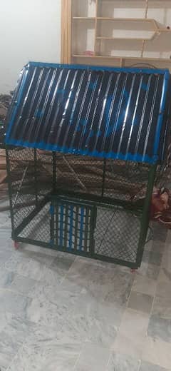 Birds Steel Cage