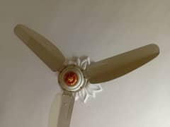 GFC CEILING FANS