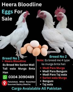 Heera Aseel Eggs