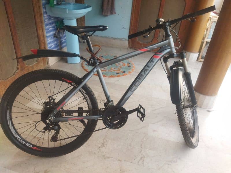 COBALT BICYCLE 1